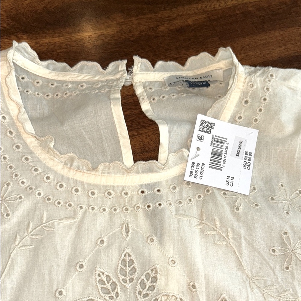 NWT- American Eagle Embroidered Puff Sleeve Cream Mini Dress - Picture 4 of 10